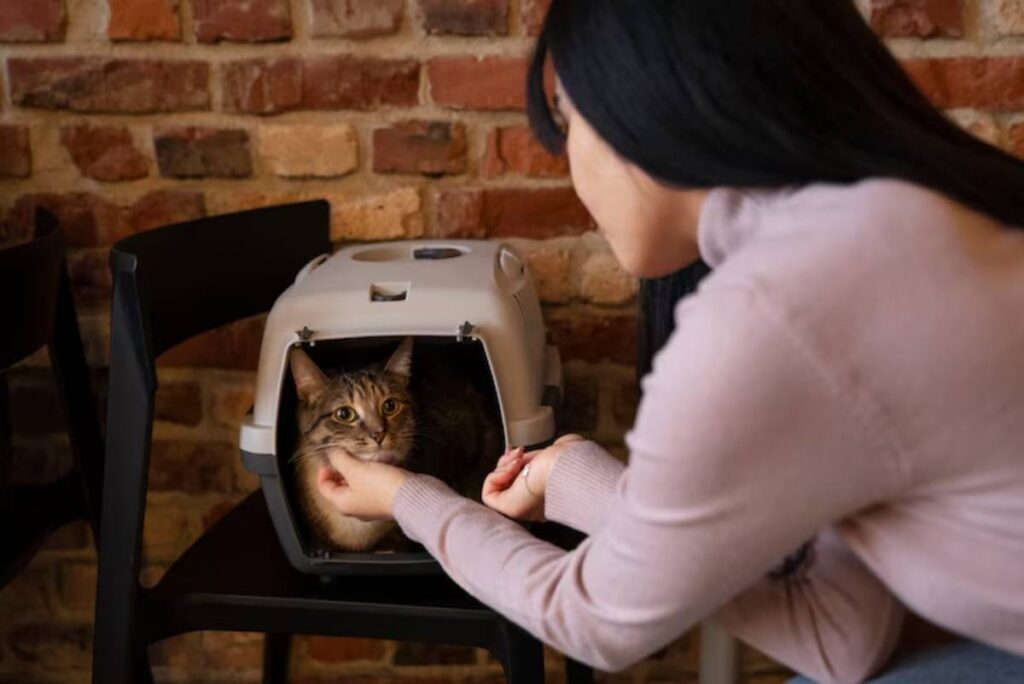 A woman gently pets a tabby cat inside a carrier, set against a rustic brick wall and black chairs.