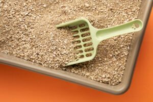 A green litter scoop rests on a beige litter tray filled with litters set against an orange background.