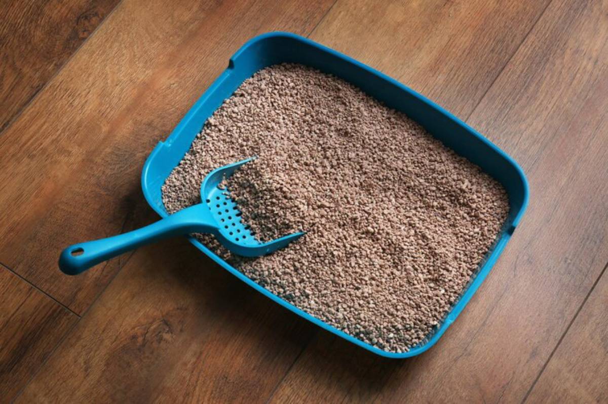 A blue cat litter box filled with brown litter, accompanied by a matching scoop, placed on a wooden floor.