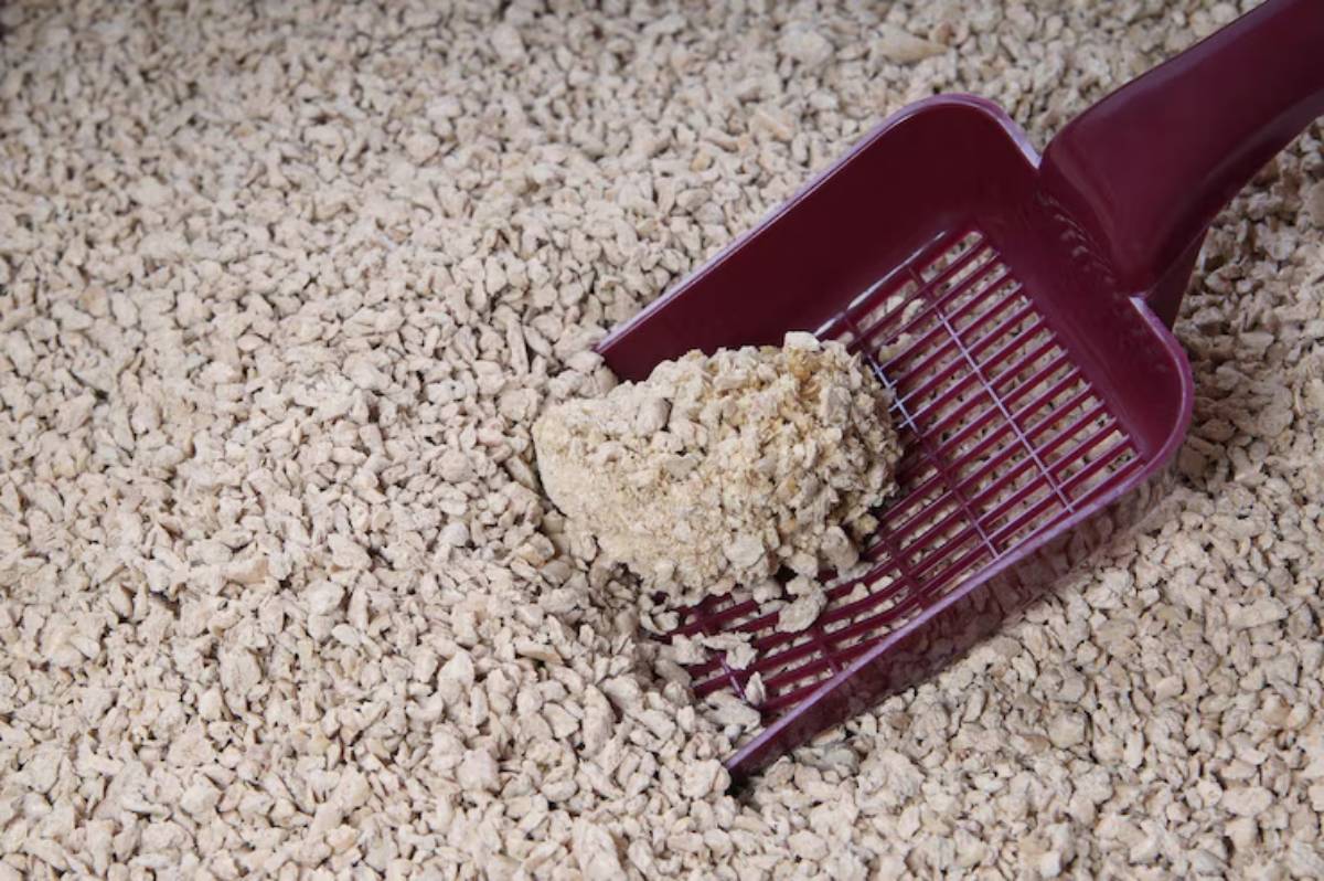 A purple litter scoop filled with a clump of cat litter, resting on a bed of the same light-colored litter material.