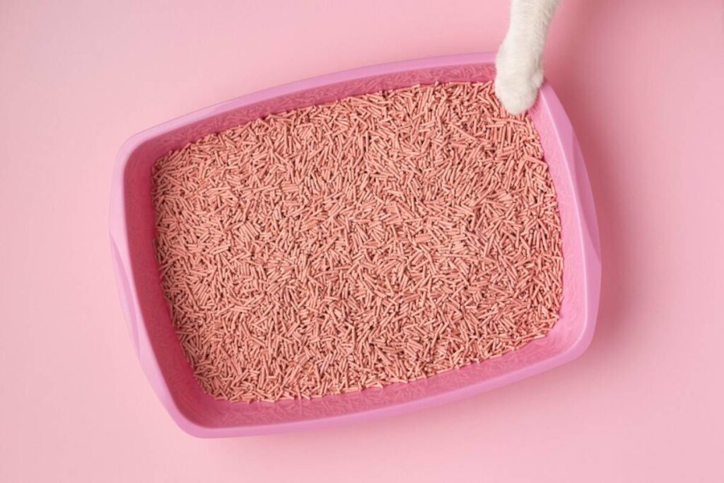 A pink cat litter box filled with light pink litter, with a cat's paw reaching in from the top.