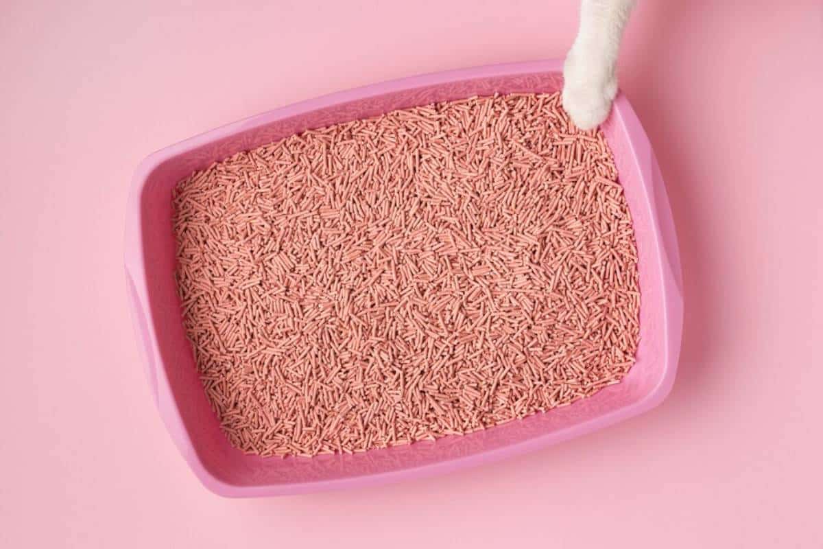 A pink cat litter box filled with light pink litter, with a cat's paw reaching in from the top.