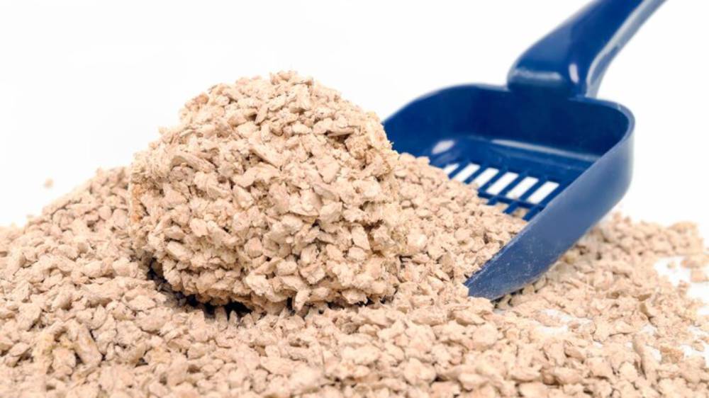 A blue scoop rests beside a mound of light brown, clumpy cat litter on a white background.