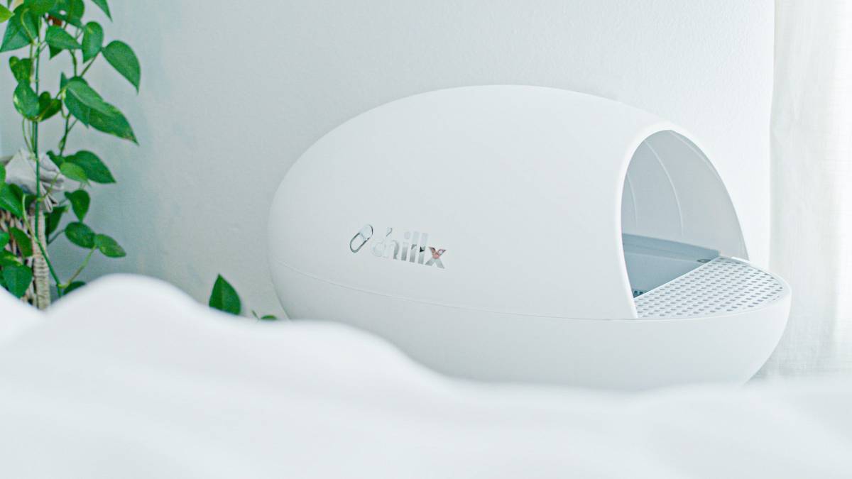 A sleek, white pet litter box sits beside a plant, featuring a smooth, rounded design and an open top for easy access.
