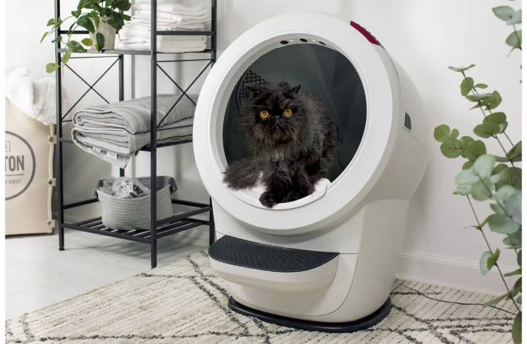 A black fluffy cat inside a modern, circular litter box, surrounded by neatly folded towels and a cozy decor.