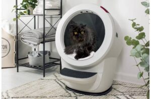 A black fluffy cat inside a modern, circular litter box, surrounded by neatly folded towels and a cozy decor.