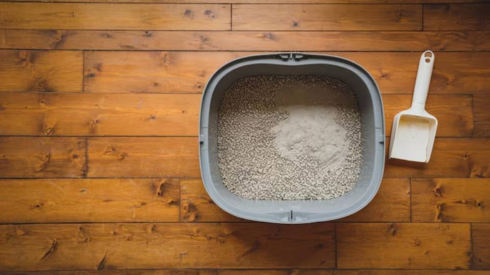 A gray cat litter box filled with granules and a layer of litter sits on wooden flooring, with a white scoop beside it.