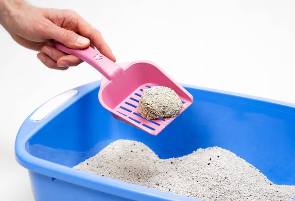 A hand holds a pink litter scoop with clumps of cat litter over a blue litter box filled with gray sand-like material.