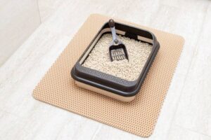 A cat litter box with a black scoop rests on a litter mat on a light tile floor.