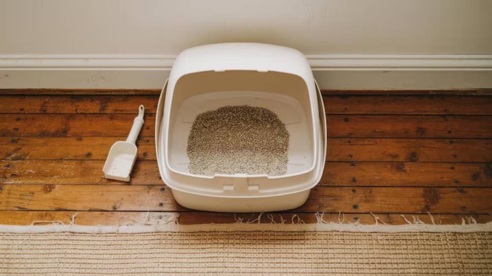 A clean, white cat litter box with gray litter inside, next to a small white scoop, placed on a rustic wooden floor.