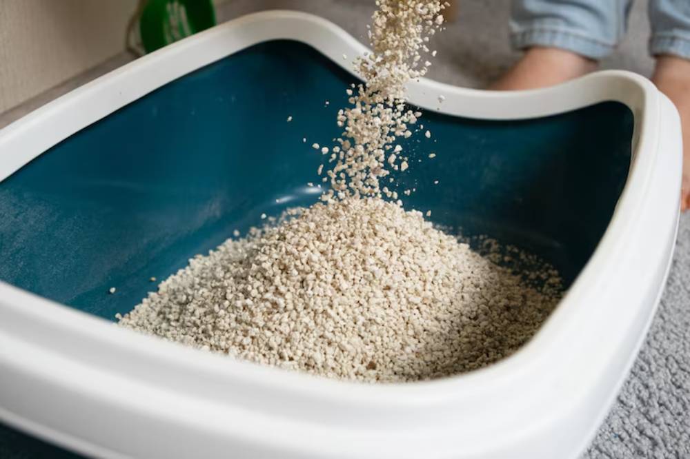Someone pours cat litter into a blue litter box, with feet visible in the background, set on a gray carpet.