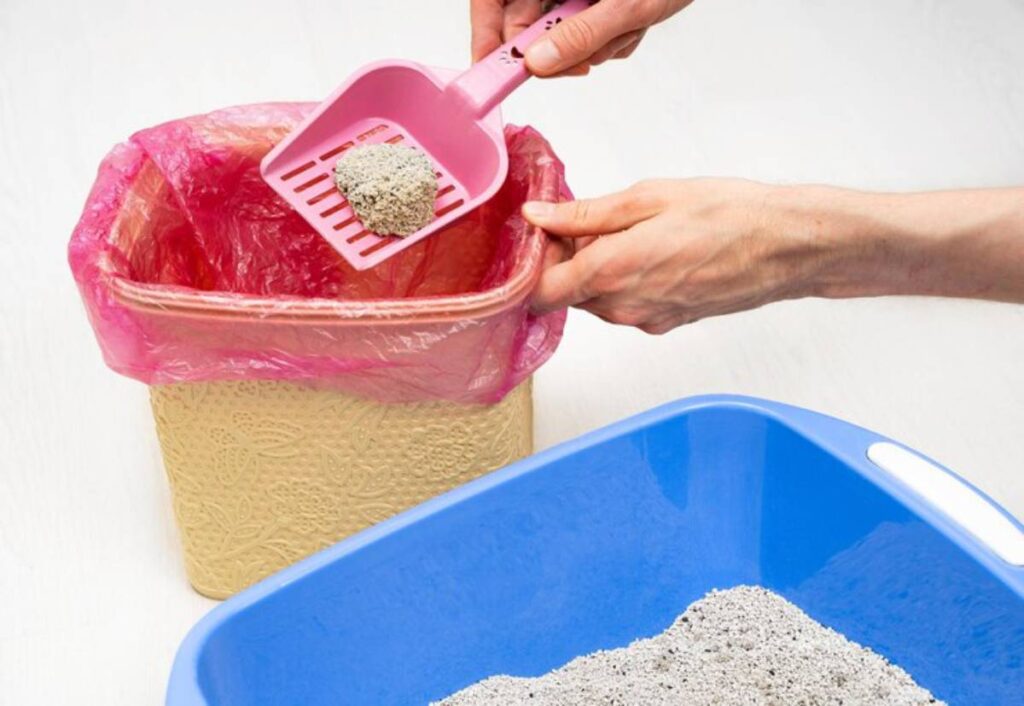 A person uses a pink scoop to transfer used cat litter into a bagged trash bin, with a blue litter box in the background.