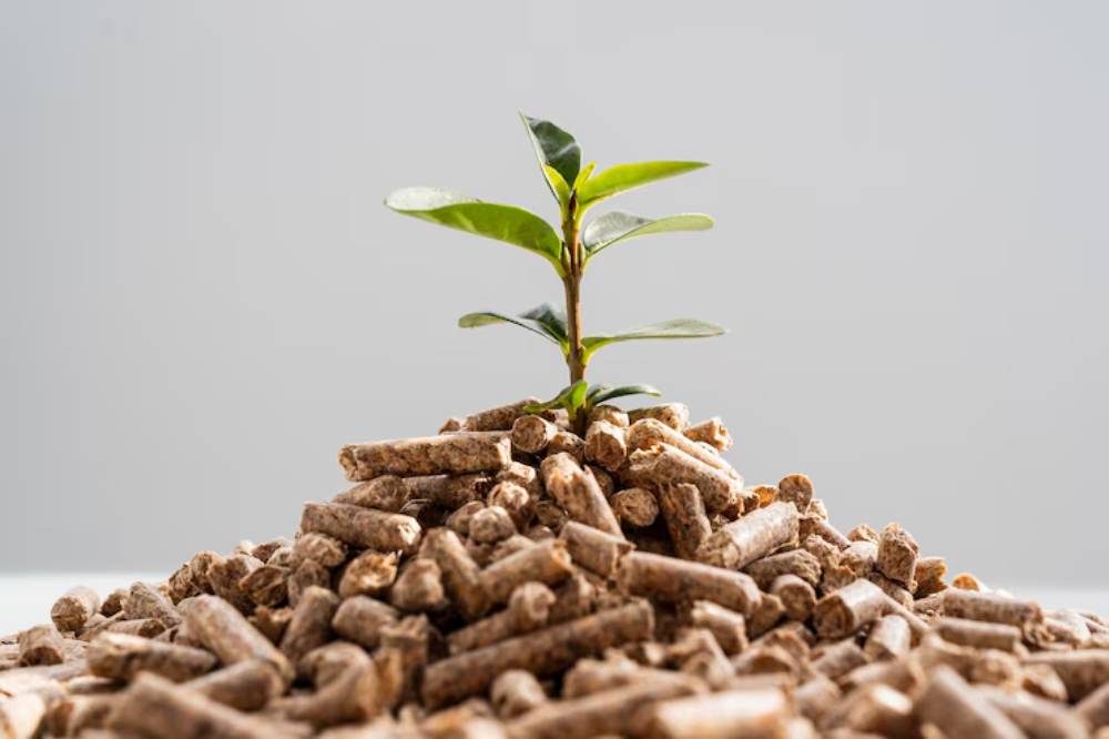 A small green plant grows atop a mound of wood pellets against a light gray background, symbolizing sustainability and growth.
