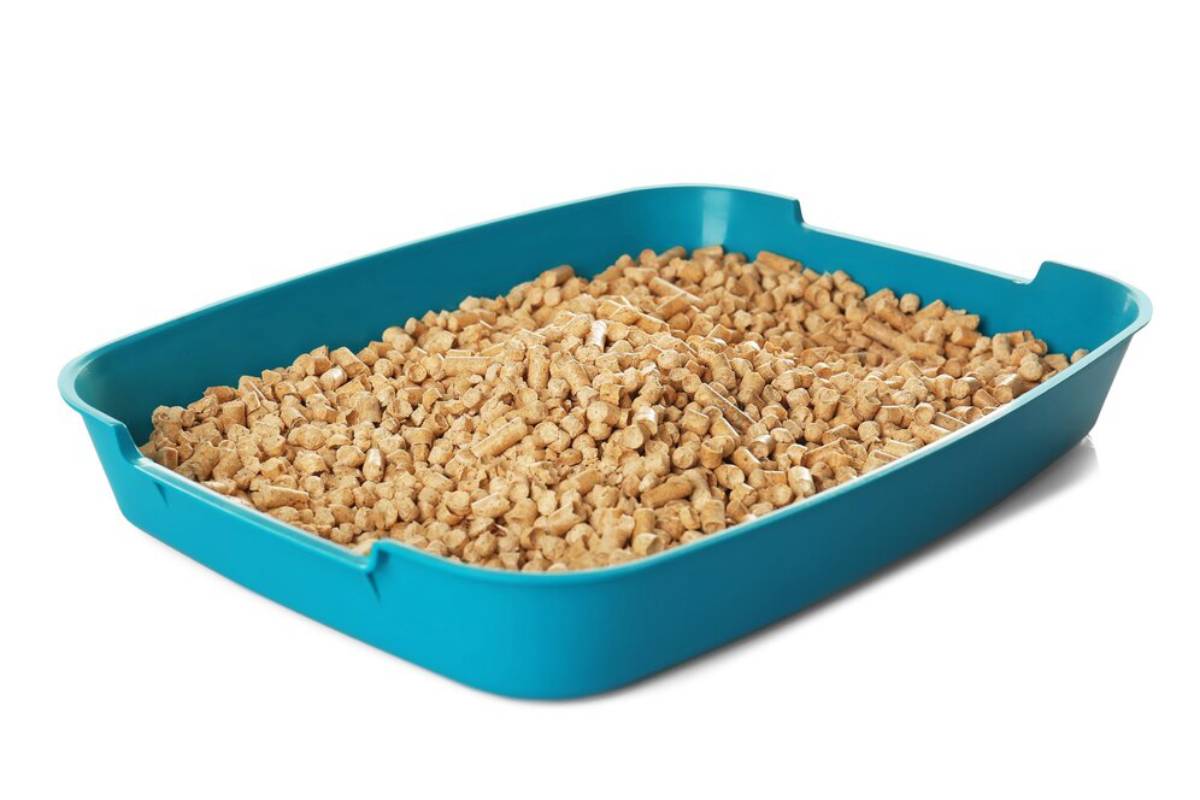 A turquoise litter box filled with small, light brown wood pellets, ideal for pet waste.