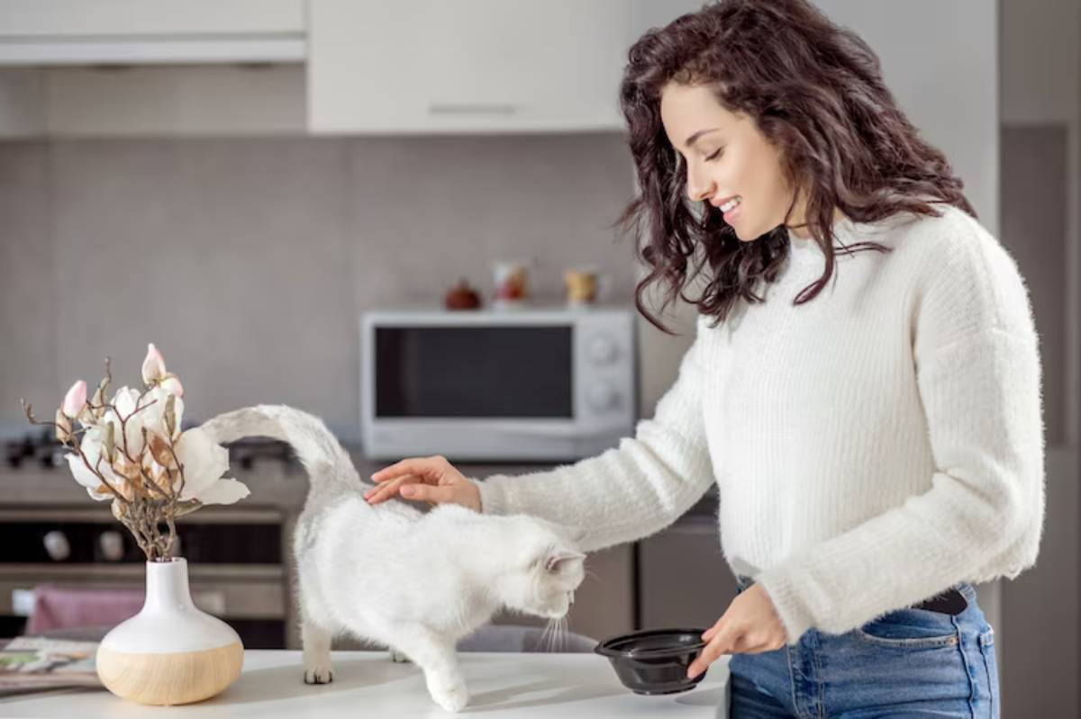 A person in a white sweater interacts with a playful white cat on a kitchen counter, amid decorative flowers and a black bowl.