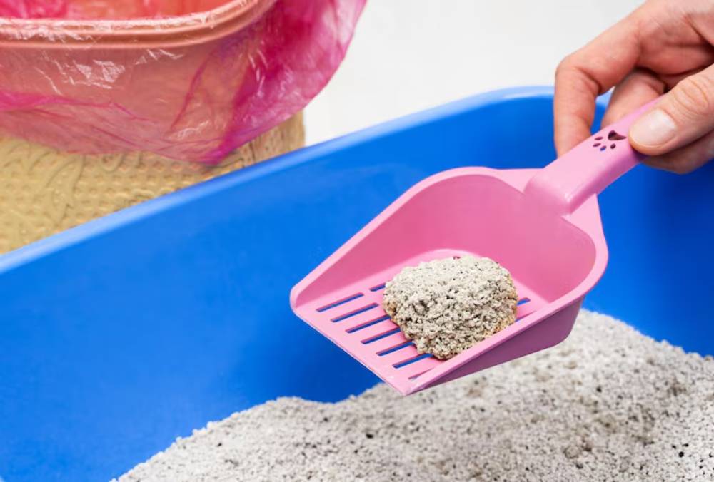 A hand holding a pink cat litter scoop filled with clumped litter above a blue litter box, with a waste bag in the background.