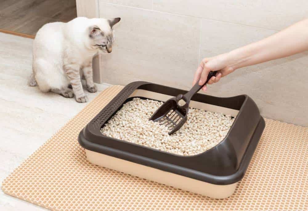 A person scoops litter from a cat's litter box while a curious cat watches nearby in a clean, modern home environment.