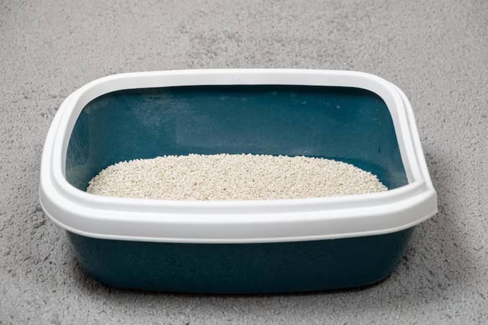 A clean cat litter box with white litter, set on a gray surface. The box has a blue base and a white rim.